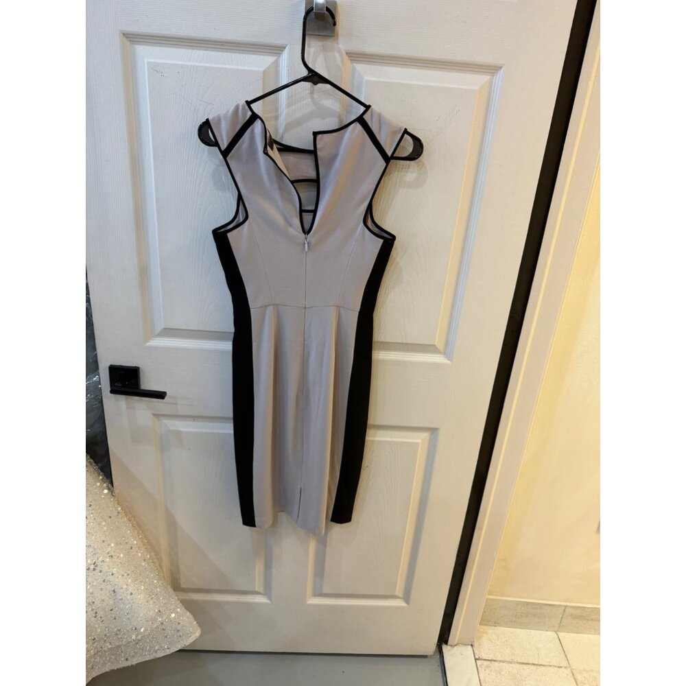 BCBGMax Azria Dress - Picture 6 of 6
